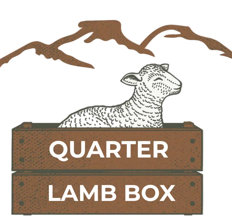 Quarter Lamb Box